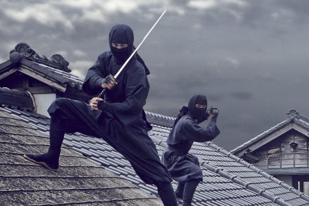 Ниндзюцу воины тени