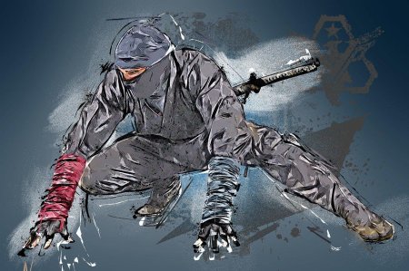 Воины тени ниндзя и ниндзюцу