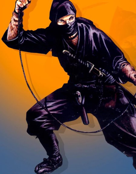 Синоби ига рю