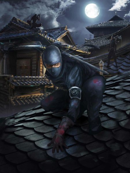 Ниндзя самурай