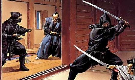 Япония ниндзя ниндзюцу