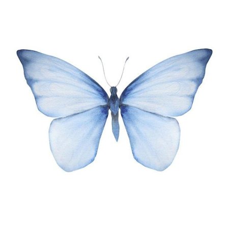 Голубая бабочка акварель