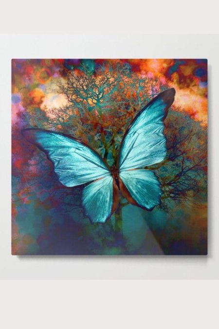 Бабочка блю морфо