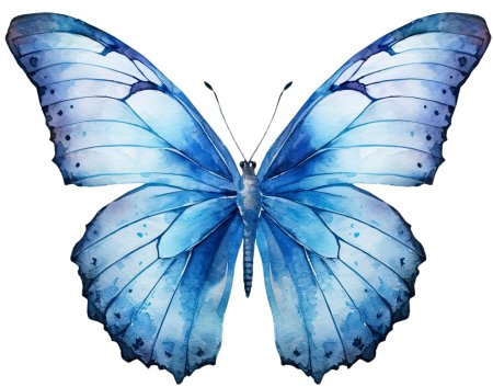 Голубая бабочка