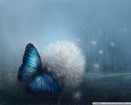 Голубая бабочка