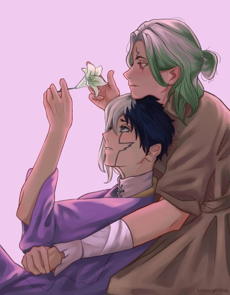 Доктор стоун яой