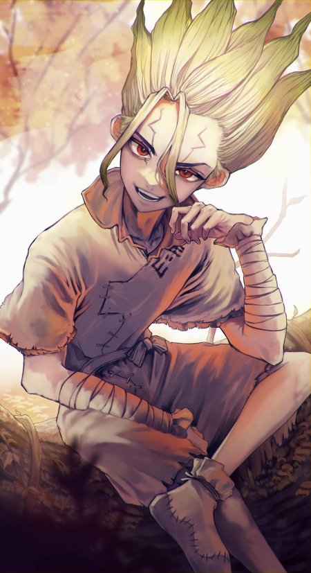 Доктор стоун арт