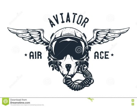 Эмблема летчика