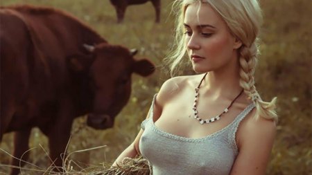 Давид дубницкий доярка