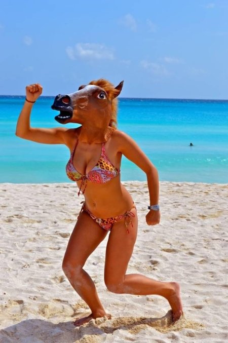 Маска лошади