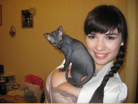 Донской сфинкс