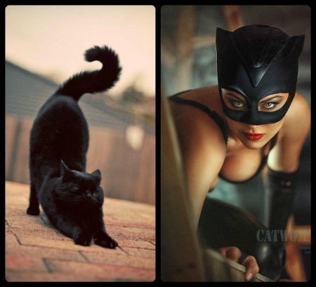 Девушка кошечка