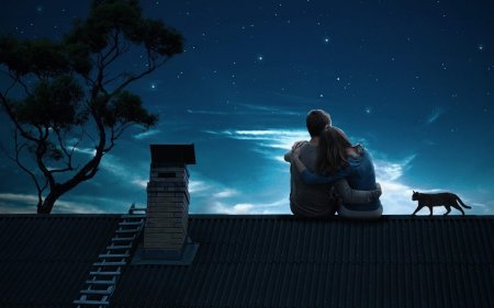 Ночь на крыше