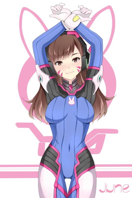 Overwatch d va