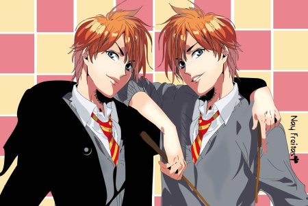 Фред и джордж уизли аниме