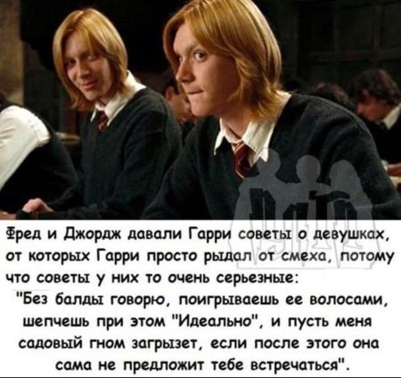 Гарри поттер фред уизли