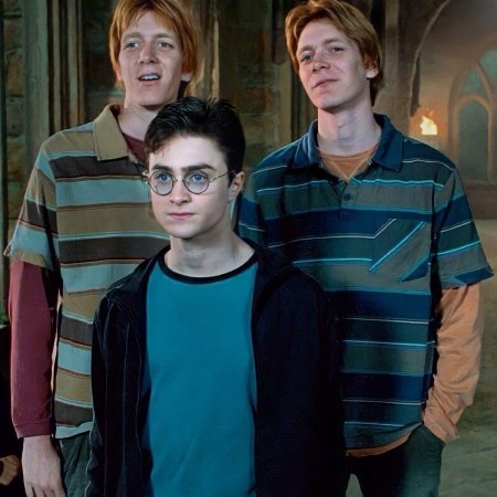 Близнецы гарри поттер
