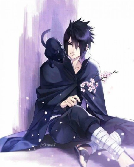 Аниме саске