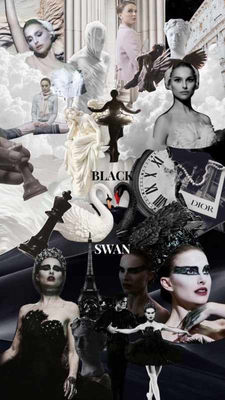 Black swan