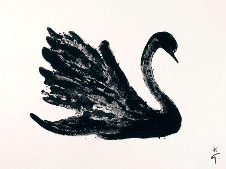 Black swan felax