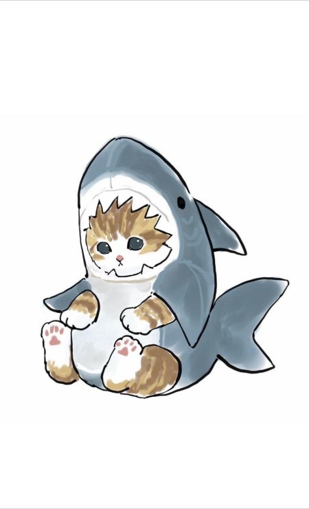 Кот акула арт