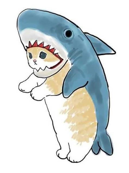 Кот в костюме акулы