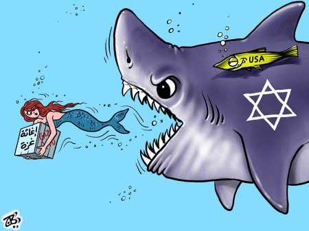 Шарко акула shark