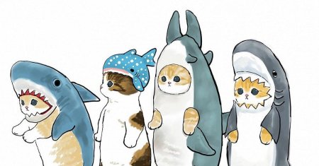 Котик в костюме акулы