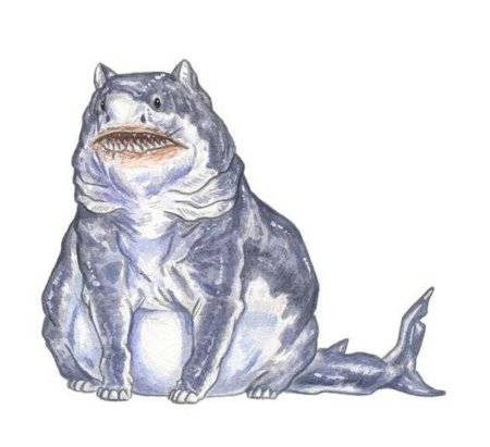 Рифовая акула днд