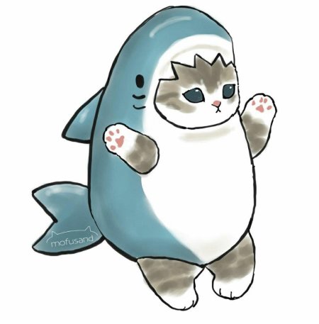 Милый котик в костюме акулы