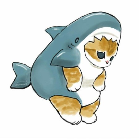 Милые котики в костюме акулы