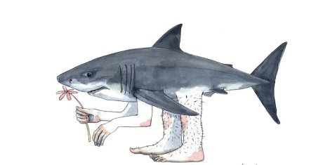 Акула рисунки