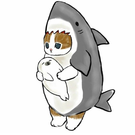 Котик в костюме акулы