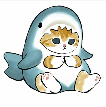 Милые котики в костюме акулы