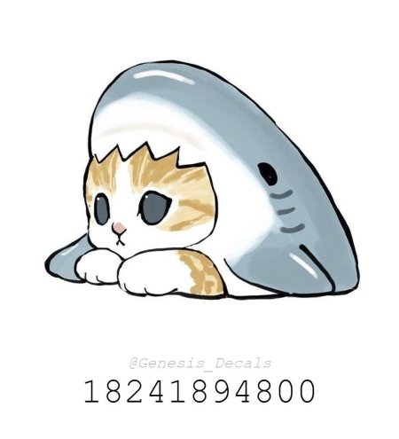 Котик акула