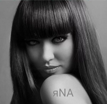 Лана васильева