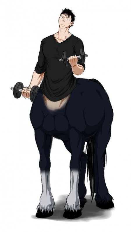 Кентавр аниме