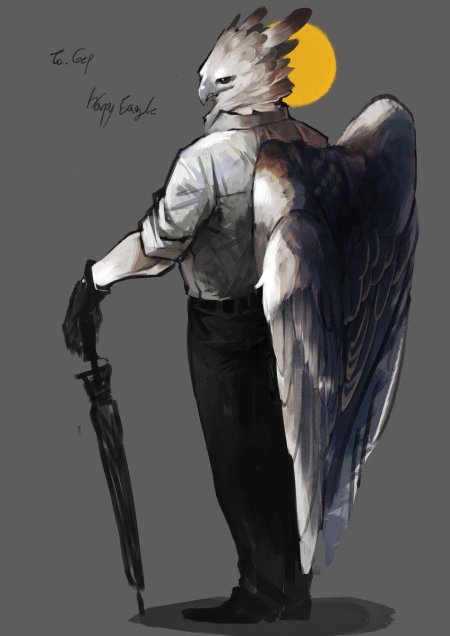 Белоголовый орлан фурри