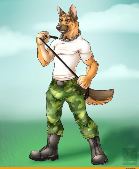 Фурри немецкая овчарка