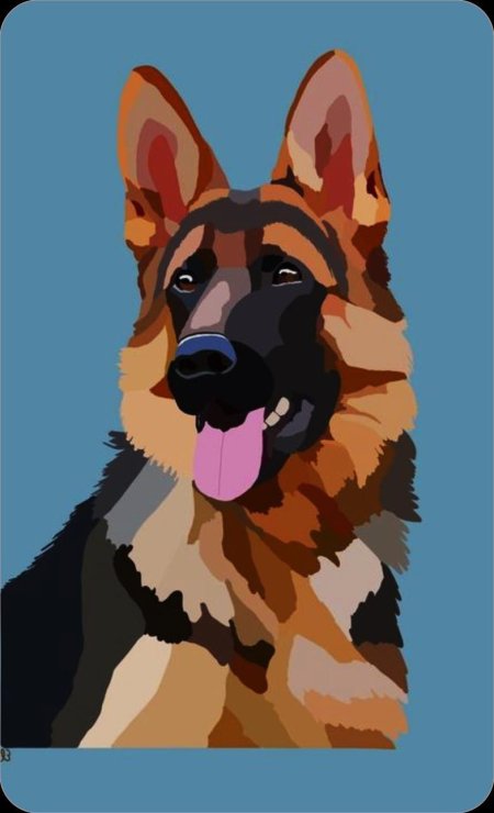 Собака немецкая овчарка