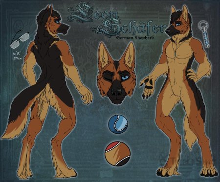 Фурри немецкая овчарка