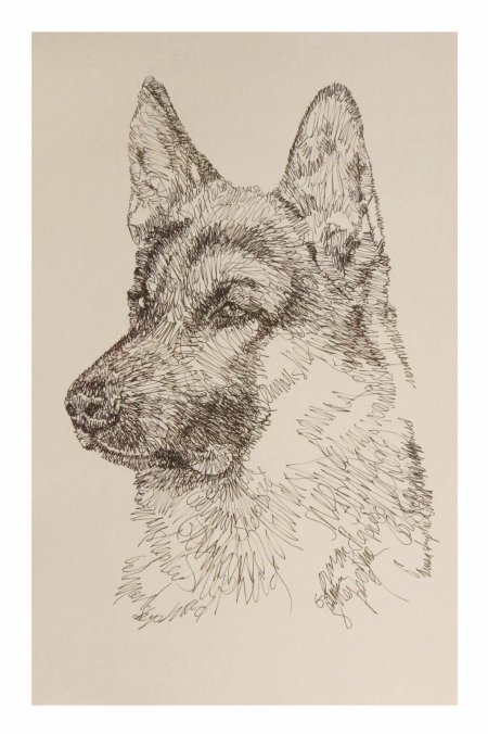 Немецкая овчарка для выжигания