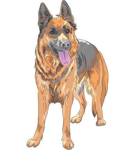 Собака немецкая овчарка