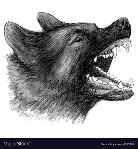 Немецкая овчарка оскал