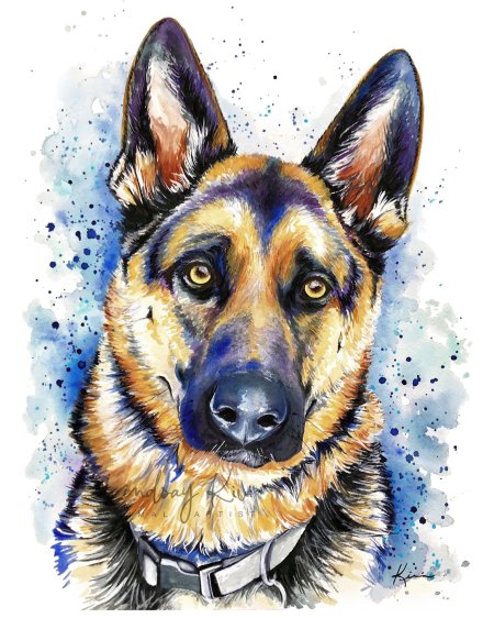 Овчарка акварелью