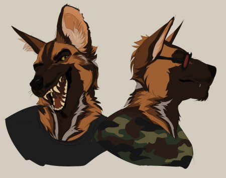 Фурри маркус caicyo