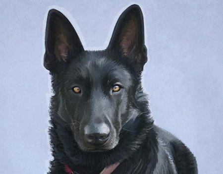 Восточноевропейская овчарка арт