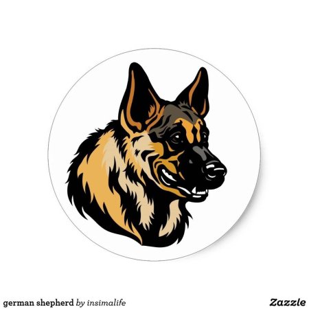 Немецкая овчарка собака