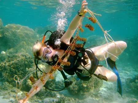 Подводное плавание со снаряжением