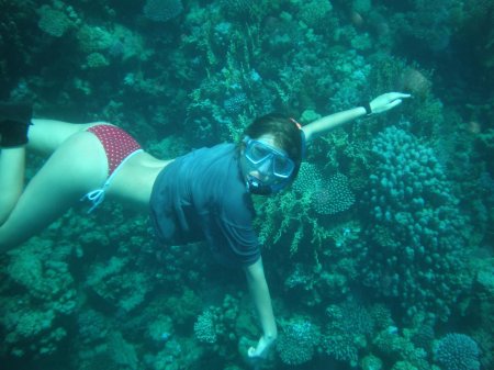 Снорклинг в египте шарм эль шейх